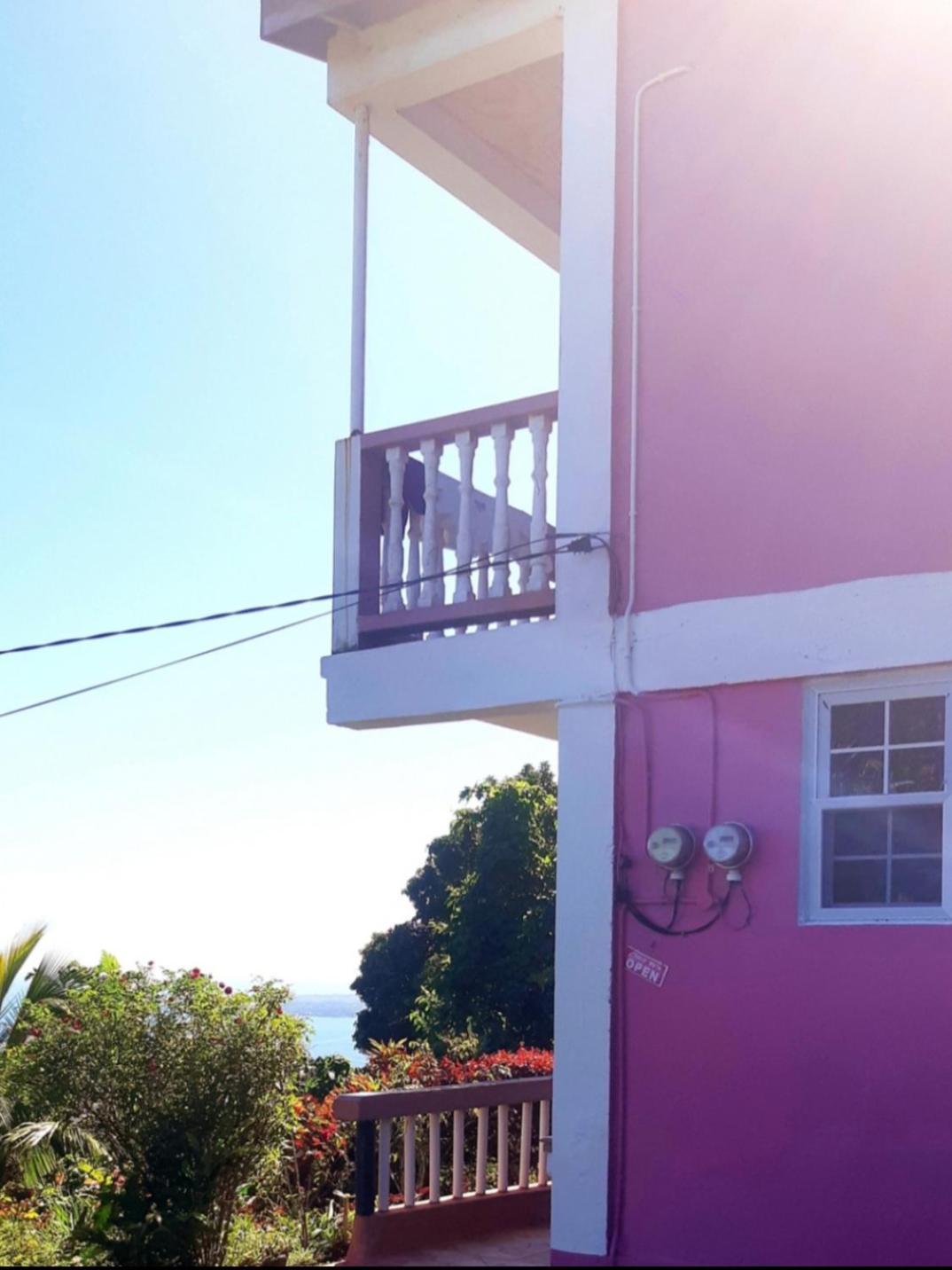 "Sunrise Inn" Nature Island Dominica Penville Экстерьер фото